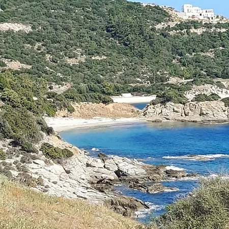 Wilem Appartement Sarti