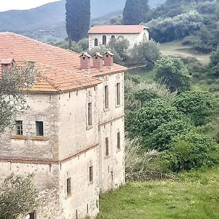 Appartement Wilem *