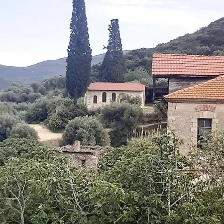 Appartement Wilem