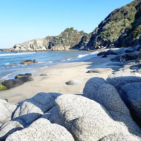 Wilem דירה סארטי