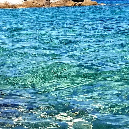 Wilem * Sarti
