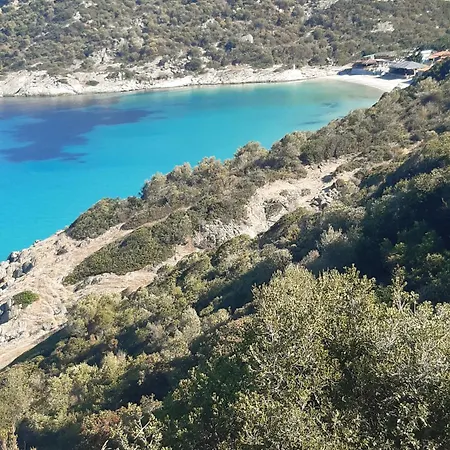 Wilem Sarti