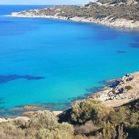 Wilem Sarti