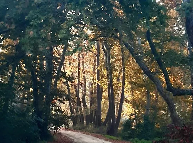 Wilem Apartamento Sarti