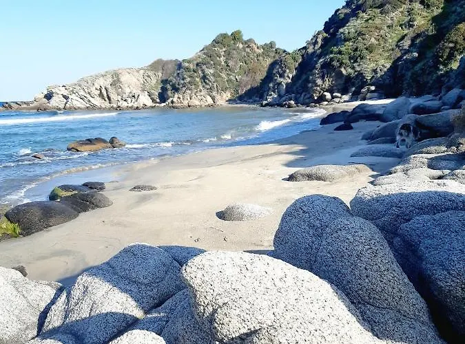 Wilem Apartamento Sarti