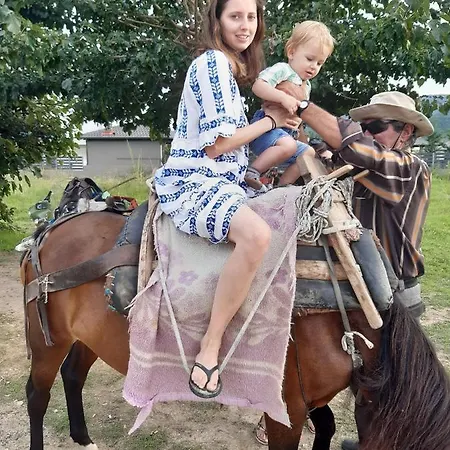 Apartman Wilem Szárti